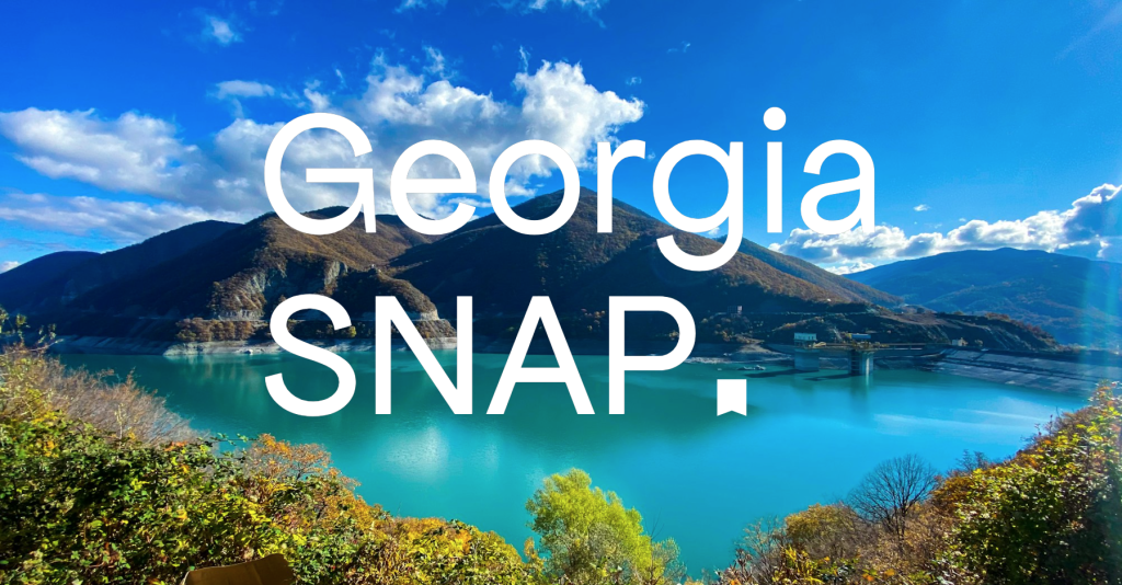 Georgia SNAP